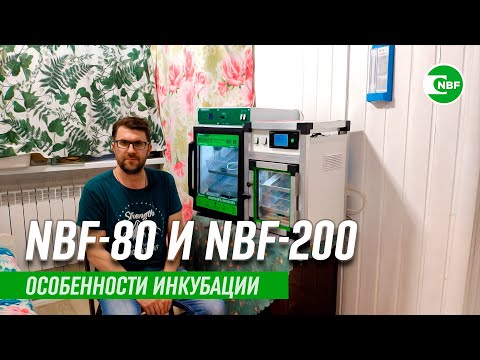 Видео: Инкубаторы NBF-80 и NBF-200. Особенности использования