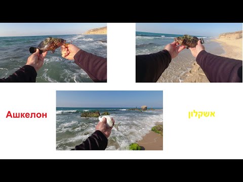 Видео: 4K  Ashkelon UL Fishing Ашкелон морская рыбалка אשקלון דיג