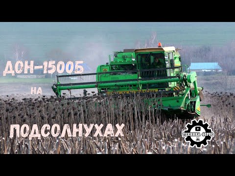 Видео: Комбайн Дон-1500Б молотит подсолнухи. Ноябрь 2022 год