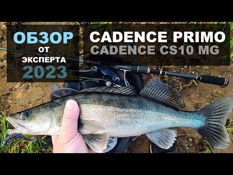 Видео: Cadence Primo и CS10 MG. УНИВЕРСАЛЬНЫЙ КОМПЛЕКТ ДЛЯ ДЖИГА