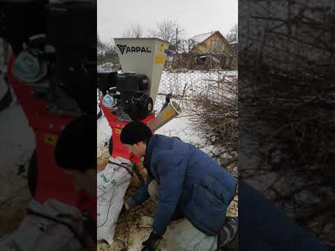 Видео: Щепорез ARPAL МС-80БД в работе.