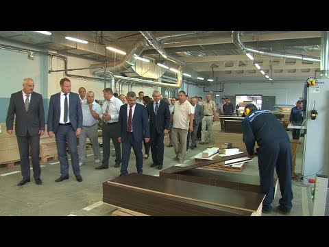 Видео: День работников леса: Пинскдрев имеет будущее, работает и развивается