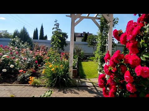 Видео: В гостях в  райском саду  Тамары🌹🌿🌲💐Новый взгляд