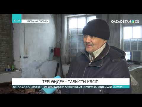 Видео: Арқалық қаласында тері өңдеу зауытының ашылуы өңірдегі өңдеу саласына жан бітірді