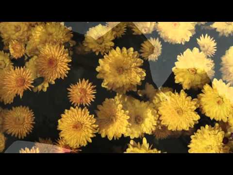 Видео: Прасковея низ села