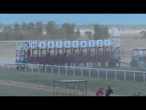 Видео: Скаковой день 29 июня. Дистанция 1600 м. Кынат