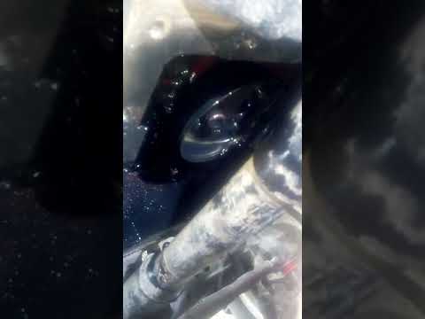 Видео: Проблема зниження тиску в кітайському тракторі, або в моторі КМ 385 ВТ.