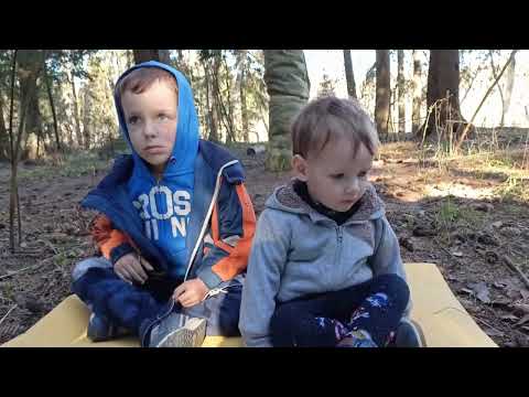 Видео: Москва - Петербург пешком. Часть 2. От Истры до Волоколамского района.