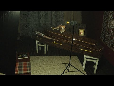 Видео: Burial-Хорроры-Поминки с главным блюдом