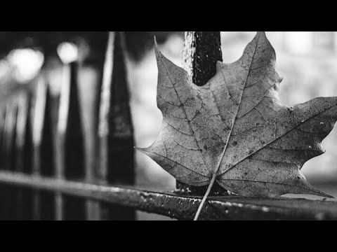 Видео: Где Он ⁉️ С кем Он ⁉️ Что происходит в Его жизни 🤔