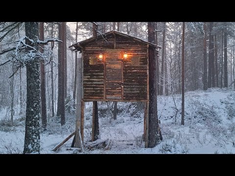Видео: Кемпинг Bushcraft в моем изолированном и теплом доме на дереве
