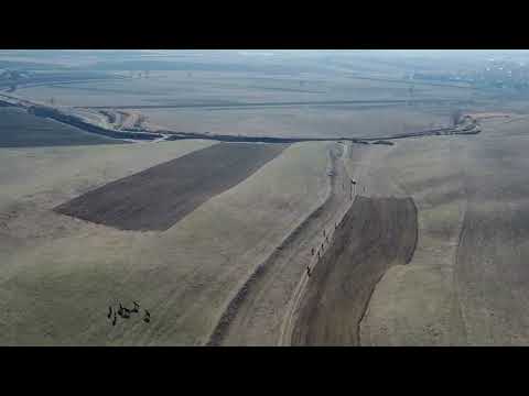 Видео: Кош Добо Айылы Тай байге 2024