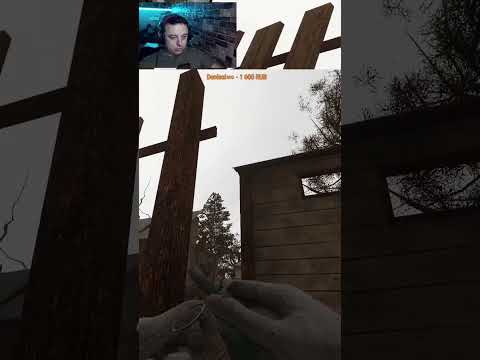 Видео: Плохая #stalker #сталкер #игры #games #видеоигры #shorts #пк #прохождение #gaming #стрим