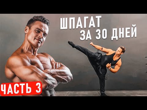 Видео: Как СЕСТЬ НА ШПАГАТ за 30 дней? Часть 3
