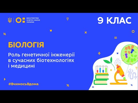 Видео: 9 клас. Біологія. Роль генетичної інженерії в сучасних біотехнологіях і медицині (Тиж.10:ВТ)