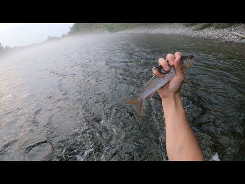 Видео: Рыбалка на прижимах. Река Анюй.