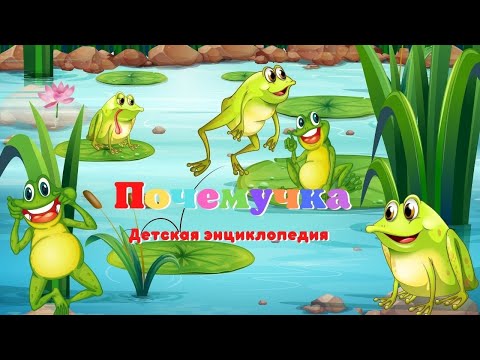 Видео: 0+Кто такие земноводные? Почемучка. Детская энциклопедия.
