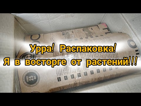 Видео: Урра!!! Распаковка!!! Я в восторге от новых растений!!!