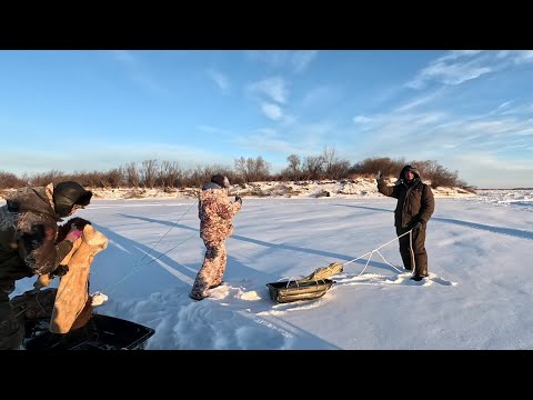 Видео: 07.12.24 рыб есть 👍