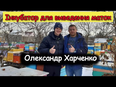 Видео: На пасіці Олександра Харченко - Інкубатор для виведення маток