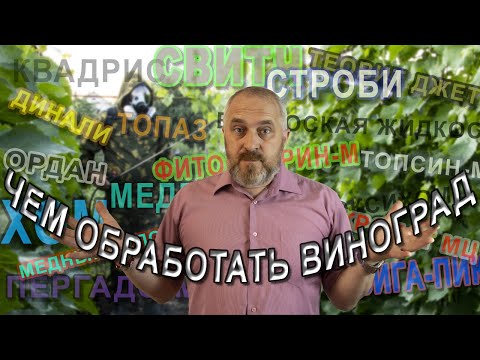 Видео: Чем обрабатывать ВИНОГРАД или какие ПРЕПАРАТЫ лучше использовать.