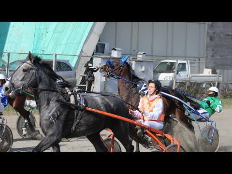 Видео: Закрытие бегового и скакового сезона на Благовещенском ипподроме