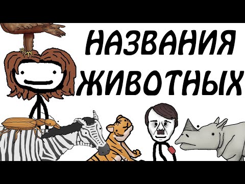 Видео: "Откуда берутся научные названия животных" - Академия Сэма О'Неллы (от Брокколи)