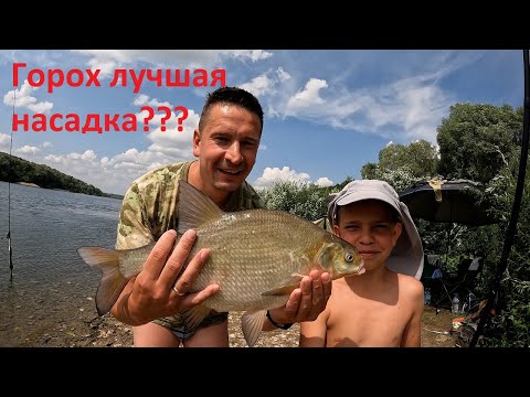 Видео: Ловля ЛЕЩА на ГОРОХ!!! Рыбалка с ночёвкой на реке!!! Донки на ОКЕ!!! #fishing #рыбалка