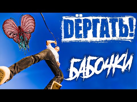 Видео: Dёргать! - Бабочки (Официальное Видео 2024) ПРЕМЬЕРА!