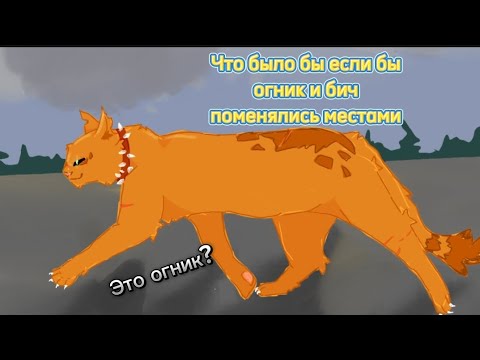 Видео: Огнезвёзд/Что было бы если бы Огнезвёзд и Бич поменялись местами/Коты воители/лесной кот