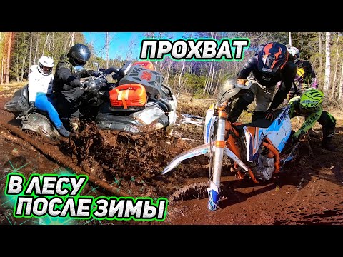 Видео: Прорываемся до Финского залива. Что нас ждёт в лесу после зимы?