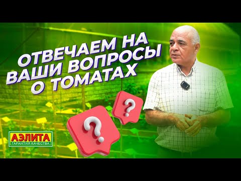 Видео: Профессор отвечает на ваши вопросы о ТОМАТАХ!