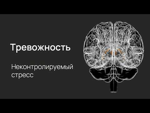 Видео: Что такое тревога и как с ней справляться