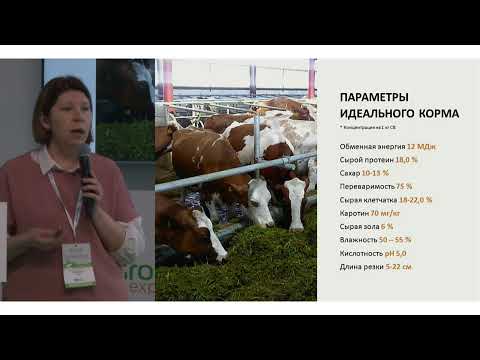 Видео: Практический семинар «Сенаж в упаковке. Молоко и деньги в технологии» на АГРОС 2023