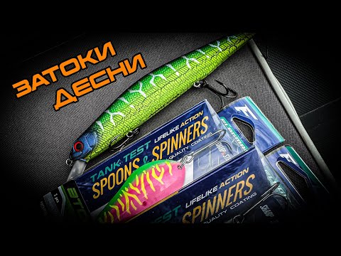 Видео: Осінній жор вже на порозі! Не пропусти. Рибалка на ДЕСНІ у ВЕРЕСНІ 2024