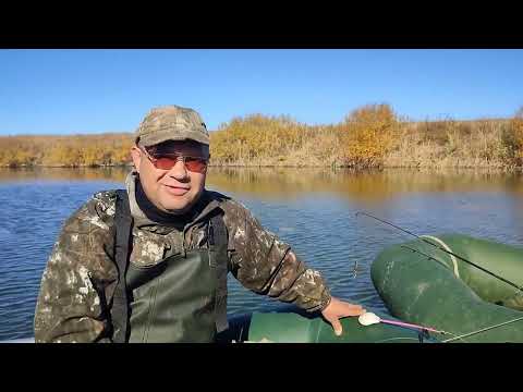 Видео: Торгай!!! Осень 2022!Щука!!!Окунь!!!