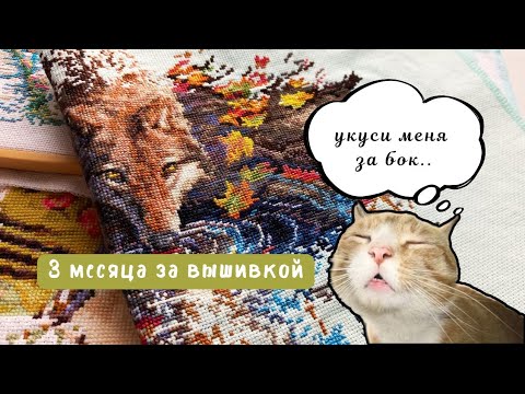 Видео: 3 новых старта и продвижения. 3 месяца с вышивкой. Риолис, Merejka, Dimensions. Вышивка крестиком