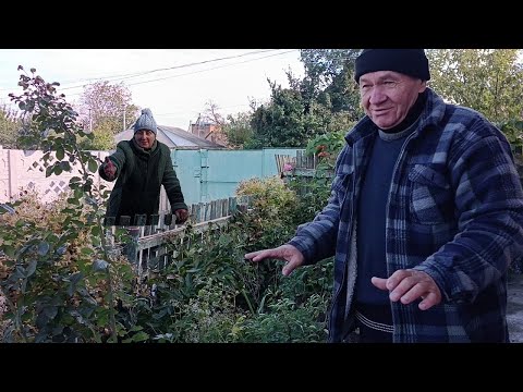 Видео: На городі прибрано . а під носом бардак.