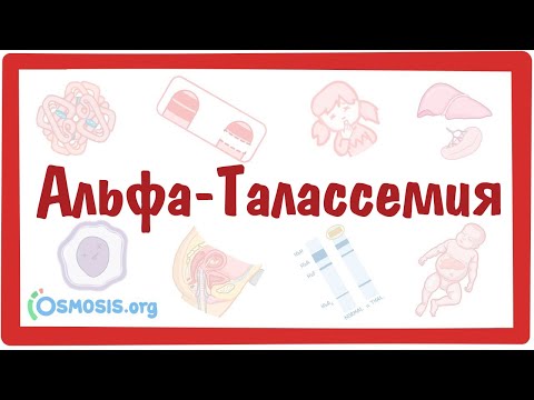 Видео: Альфа-Талласемия — причины, симптомы, патогенез, диагностика, лечение