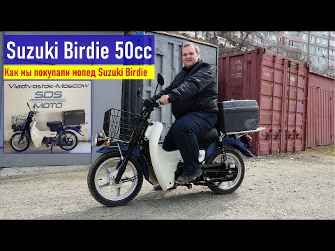 Видео: Как мы покупали Suzuki Birdie 50сс во Владивостоке, покупка почти нового мопеда в магазине SDSMoto