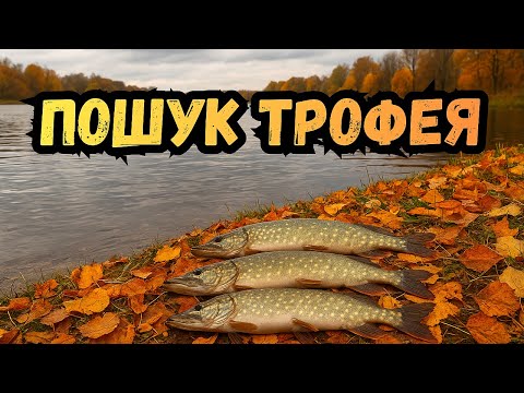 Видео: 🍂🎣У пошуках ЩУКИ на великому озері | Осіння риболовля на спінінг🍂🎣