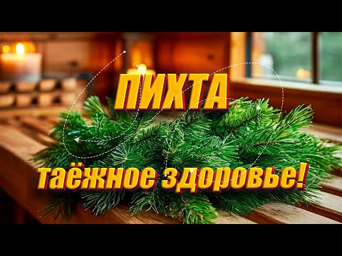 Видео: Пихтовый веник в бане #баня #банщик #здоровье  #красота  #spa