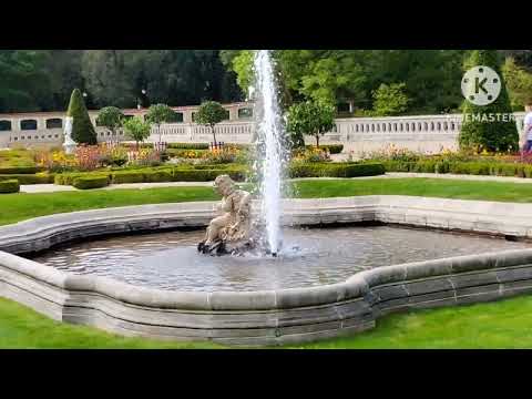 Видео: 12 ноября 2025 г.