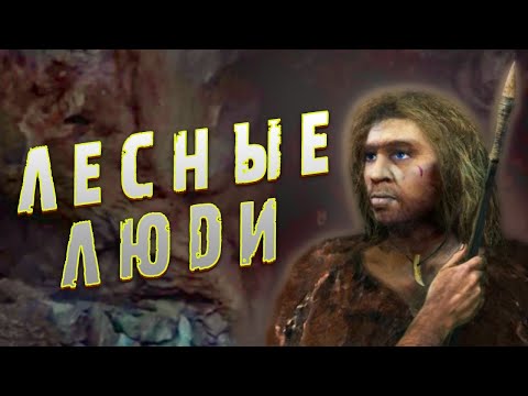 Видео: ЗАГАДОЧНАЯ ВСТРЕЧА С ЛЕСНЫМИ ЛЮДЬМИ В ГЛУХОЙ ТАЙГЕ!