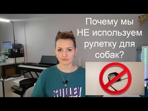 Видео: Почему мы не используем рулетку? | Правильный поводок для собак