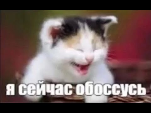 Видео: Мод : Вожатая с изумрудными глазами (да да мы)