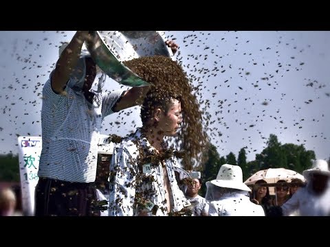 Видео: Топ 15 Гиннес рекордтары😻 Әлемдегі керемет рекордтар | айтоп каналы