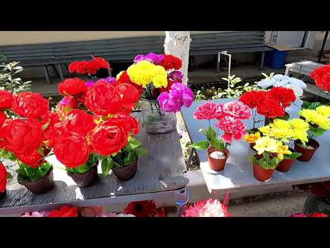 Видео: Срочно смотрите кладбище Уртасарай2.