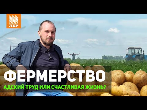 Видео: Бизнес на картофеле. Откровенный разговор с фермером из Тамбовской области