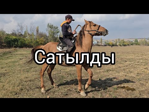 Видео: Сатылды